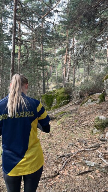Burgohondossa leiri hyvässä vauhdissa ja maastot alkaa olla hallussa. 🫡🌳🌞
@maximusocamp @nonamesport
#orienteering #training #trainingseason #fullfocus